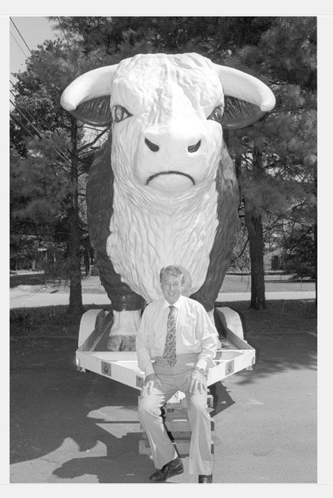 bull2.jpg